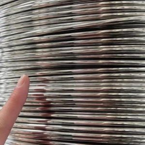 filo a molla in acciaio inossidabile